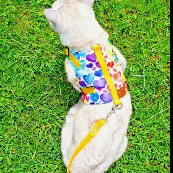 PATIPATRON Cat Harness and Leash Set Cats Escape Proof Adjustable Size M - Picture 2 of 6